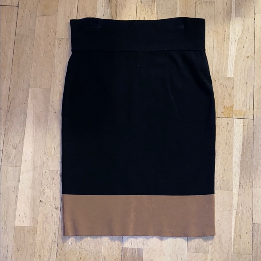 Express Pencil Skirt